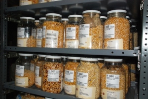 Seed bank